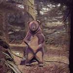 Big arty bear